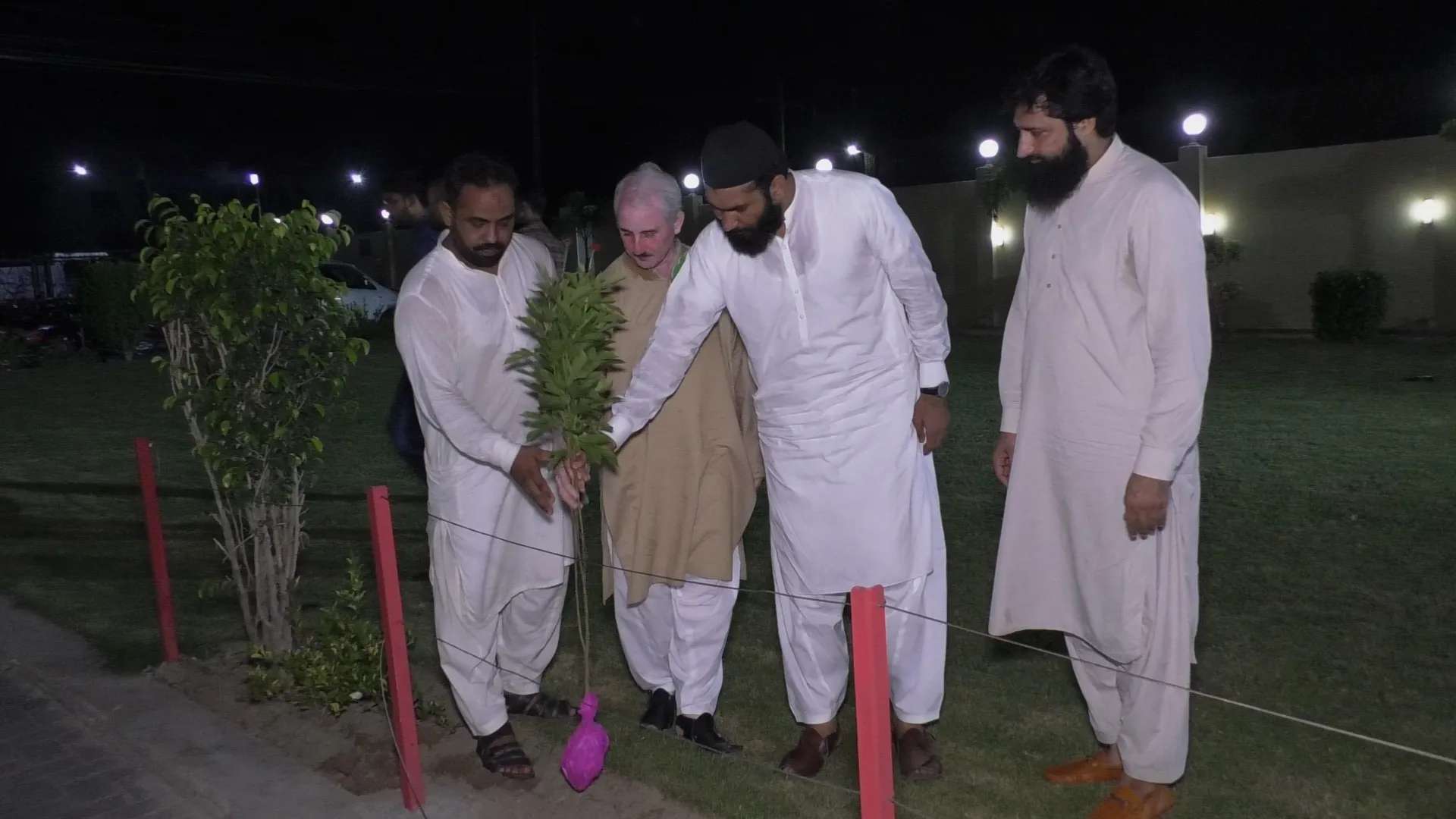 Green Seekers Activity